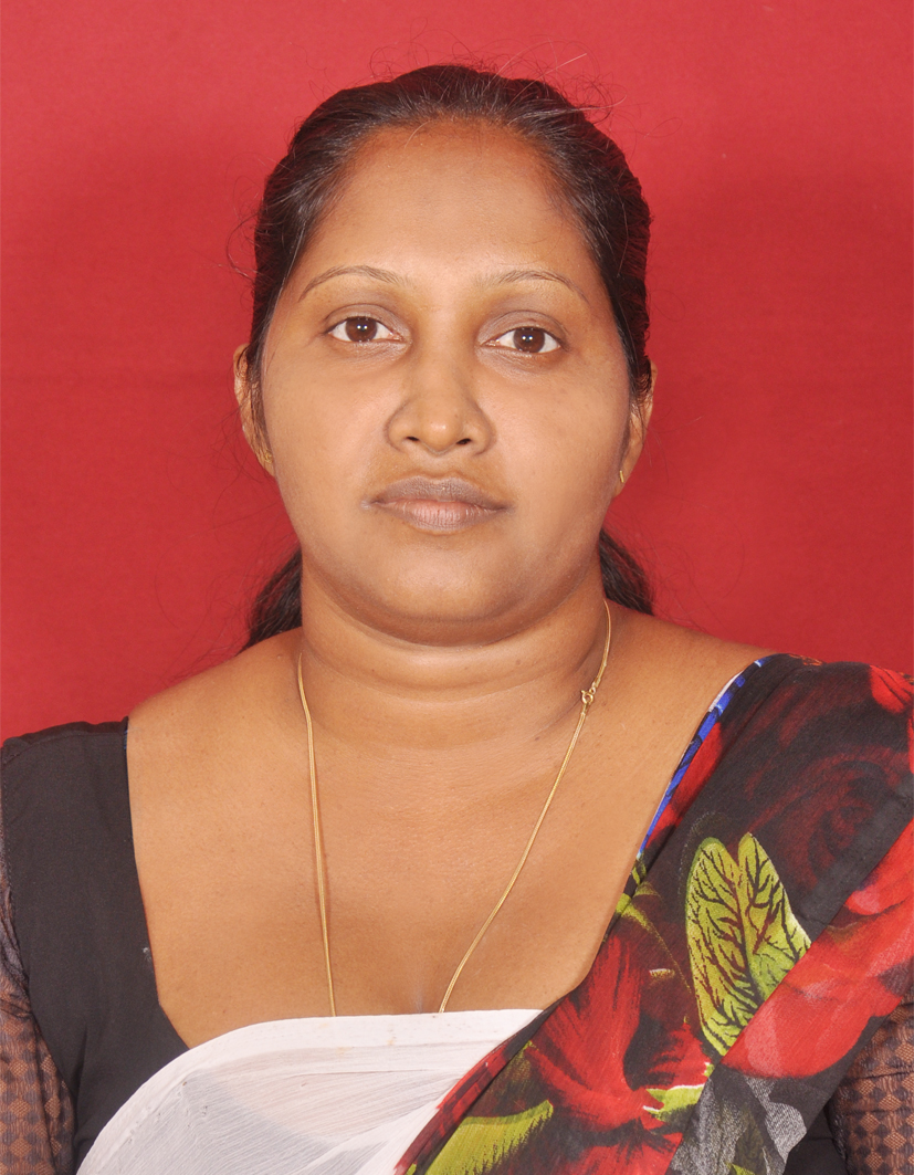 S. A. P. D Wasanthi