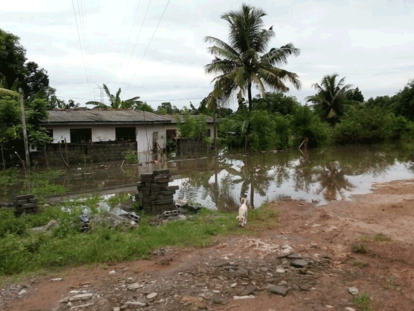 Adverse weather conditions and floods affected 11 Grama Niladhari Divisions
