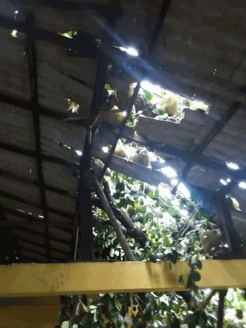 Adverse weather conditions and floods affected 11 Grama Niladhari Divisions