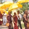 Danamaya Pinkama - 2018_03_16 (දානමය පිංකම )
