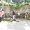 Dengue Prevention Programe-From-2020-01-01 To 2020-01-07 (ඩෙංගු මර්ධන සතිය) - Dengue Prevention Programe-From-2020-01-01 To 2020-01-07 (ඩෙංගු මර්ධන සතිය)