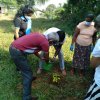Planting Project in Kaduwela Division (2022.02.02)