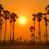 Test_Training20250325
